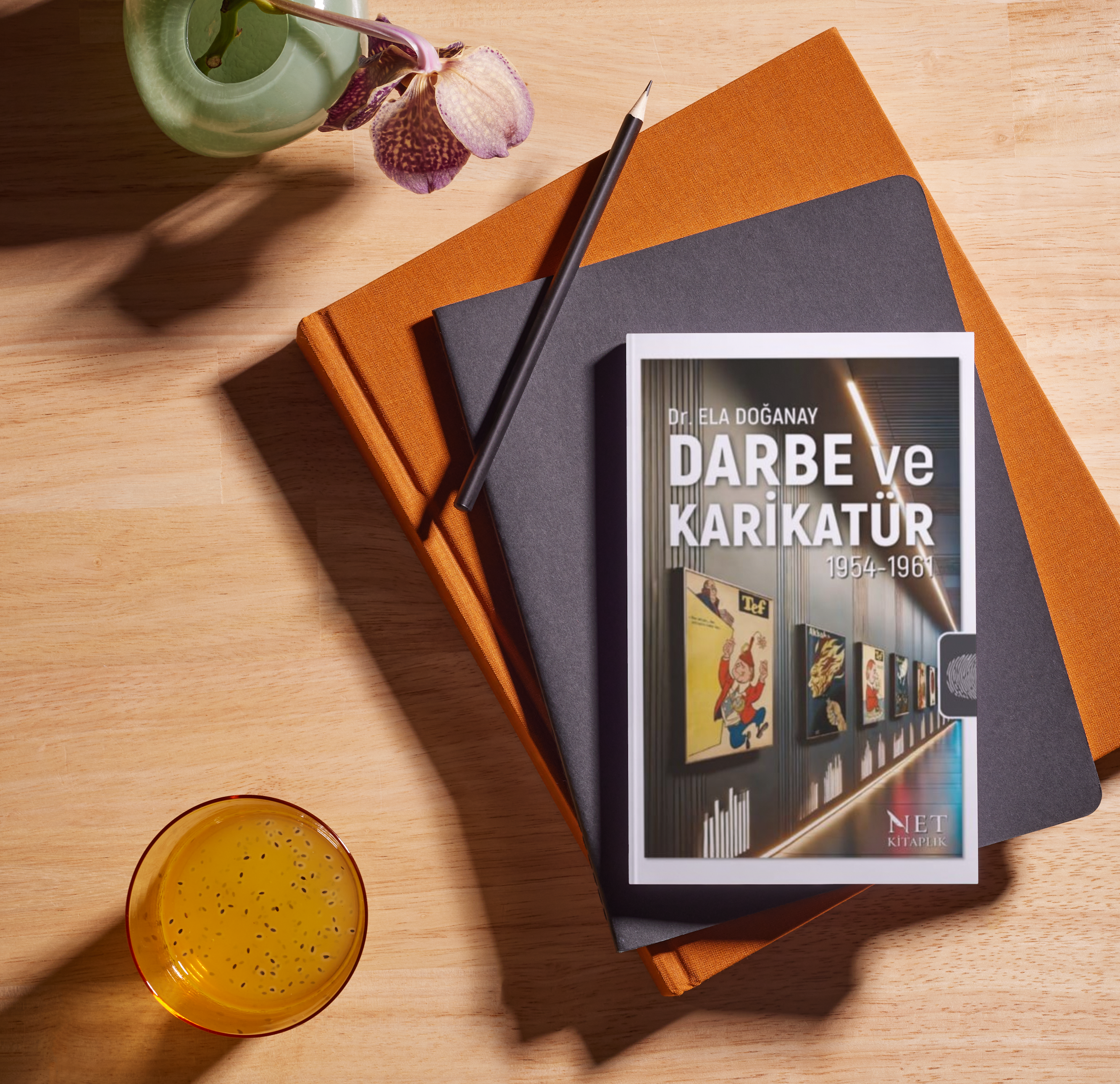 Darbe ve Karikatür 1954-1961